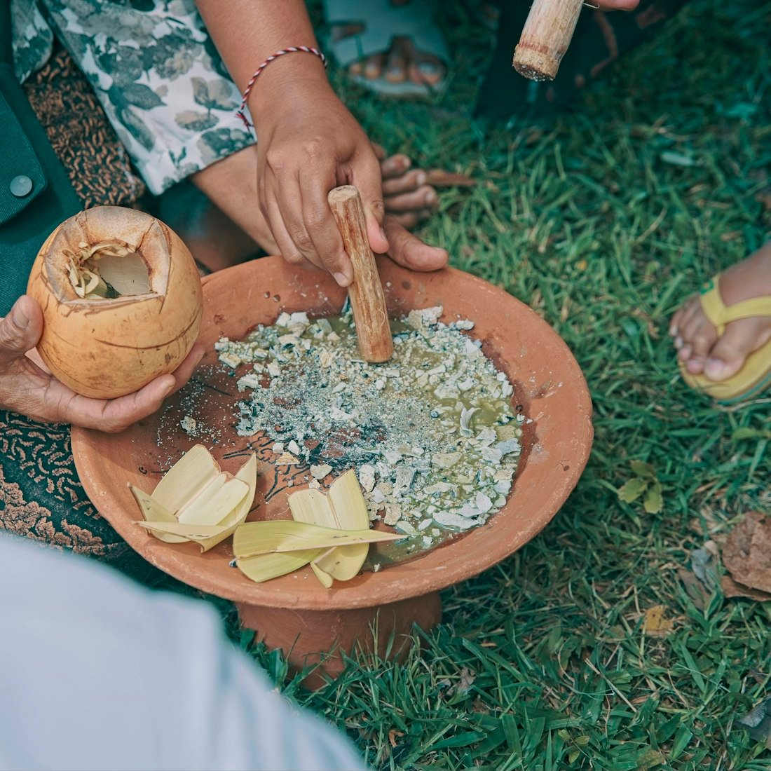 Fresh herbs and clay bowls — where every medicine begins